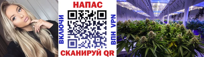 Наркошоп Новопавловск Кокаин  Амфетамин  ГАШИШ  МЕФ  А ПВП 