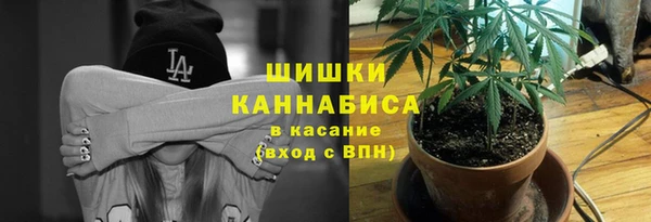 тгк Краснослободск