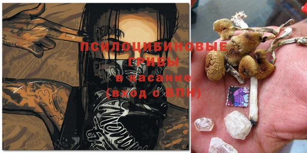 марки lsd Арсеньев